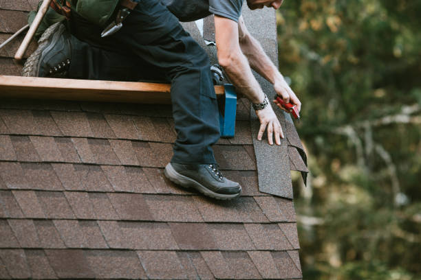 Emergency Roof Repair in Stewartville, AL